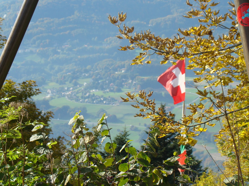 2008 10-Swiss Alps Flag.jpg